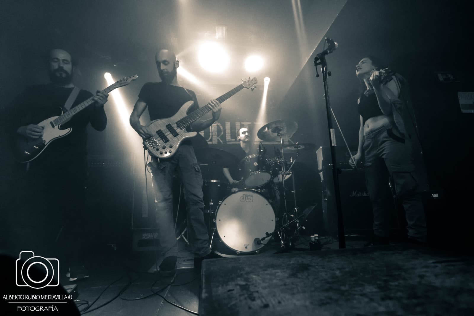 Idiacanthus live